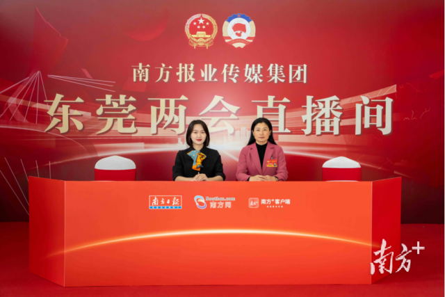 东莞两会&middot;权威访谈｜杨朝琴：建设质量、知识产权&ldquo;两个强市&rdquo;，推进新型工业化